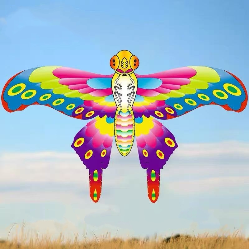 Layang-layang saku, tali panci - Kite Wind Outdoor ulasan dan harga